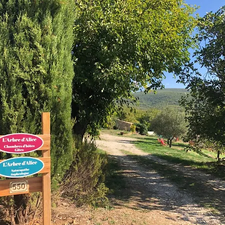 L'arbre D'alice 4* Ongles