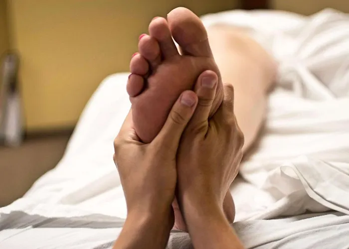 Vendégház L'arbre D'alice 4*